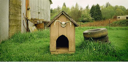 《阿斯泰利克斯历险记：全拍飞2》Steam页面上线 年内发售